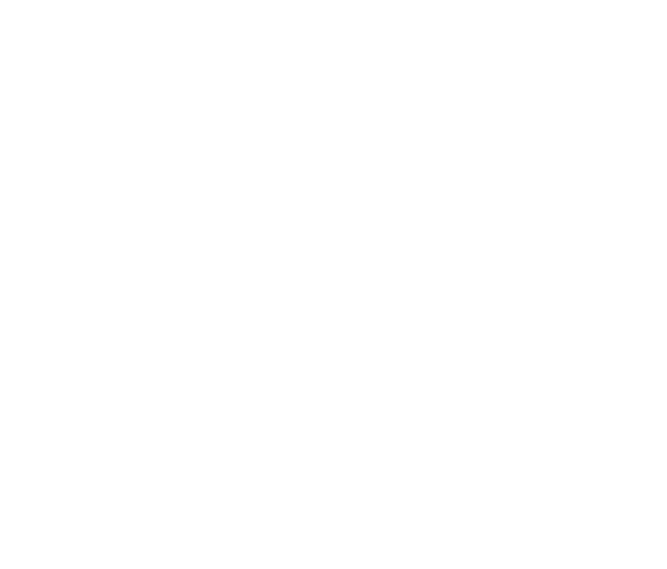 Backpacker's Journey